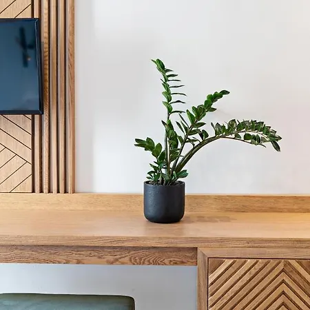 Nefeli レティムノ