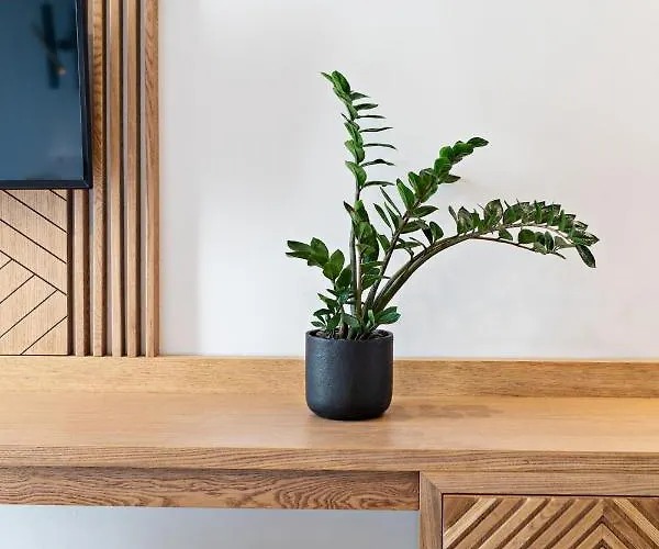 Nefeli Rethymno (Crete)